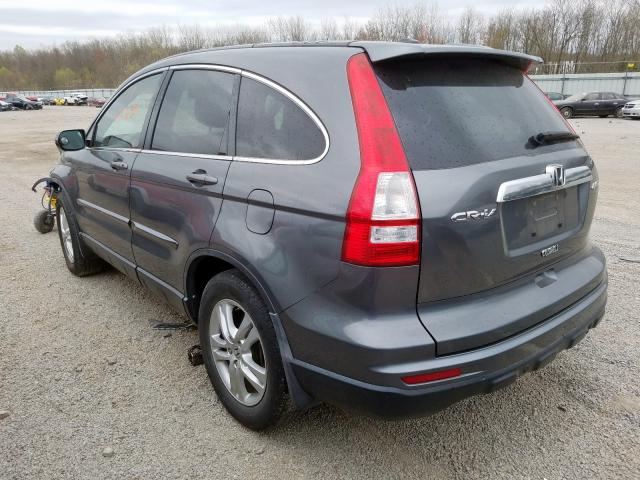 5J6RE4H74AL069446 - 2010 HONDA CR-V EXL  photo 3