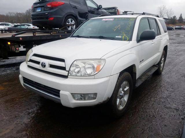 JTEBU14R540036991 - 2004 TOYOTA 4RUNNER SR5  photo 2