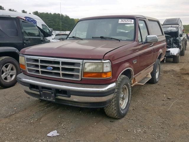 1FMEU15H1TLB71871 - 1996 FORD BRONCO U10 MAROON photo 2