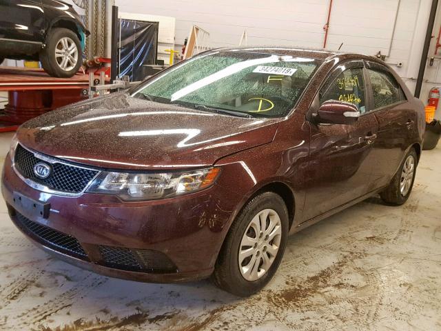 KNAFU4A21A5203969 - 2010 KIA FORTE EX BURGUNDY photo 2