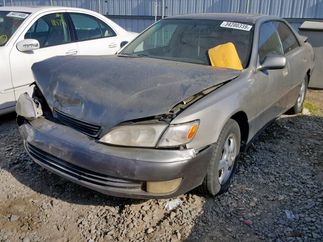 JT8BF22G9V0063536 - 1997 LEXUS ES 300 GOLD photo 2