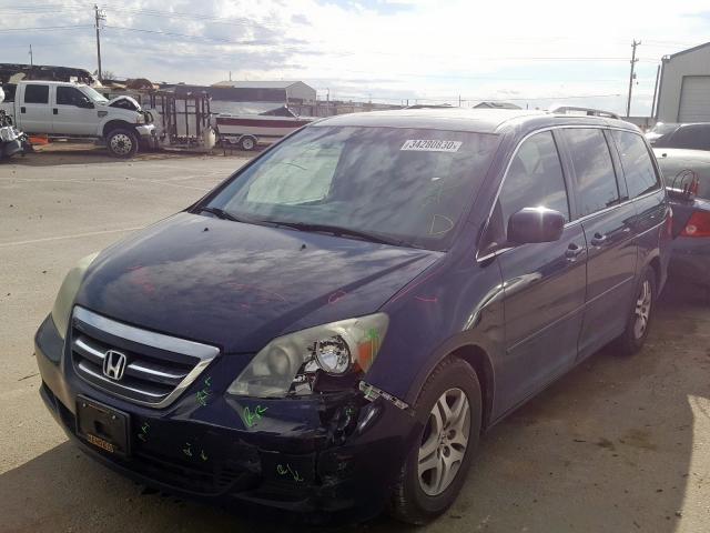 5FNRL38665B070071 - 2005 HONDA ODYSSEY EXL  photo 2