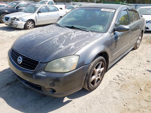 1N4BL11D85C349782 - 2005 NISSAN ALTIMA SE  photo 2