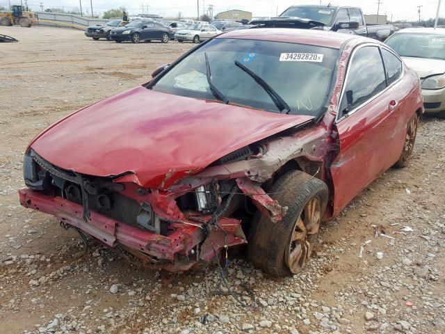 1HGCS1B38AA009501 - 2010 HONDA ACCORD LX  photo 3