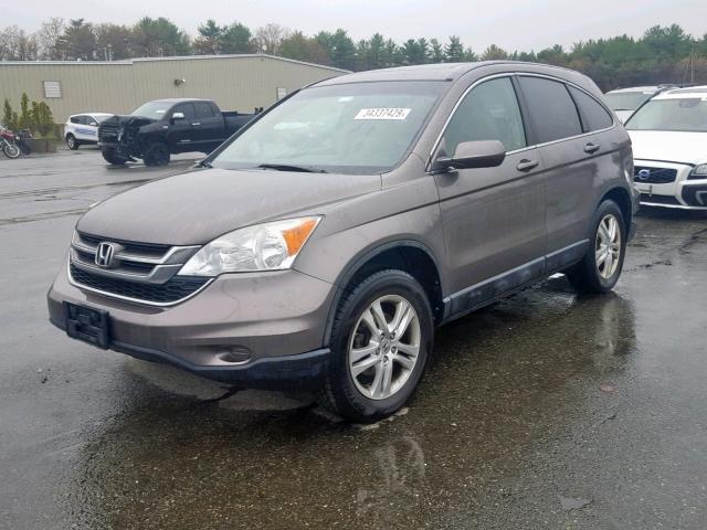 5J6RE4H79AL025488 - 2010 HONDA CR-V EXL GRAY photo 2