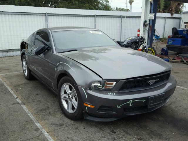 1ZVBP8AM6C5270147 - 2012 FORD MUSTANG GRAY photo 1