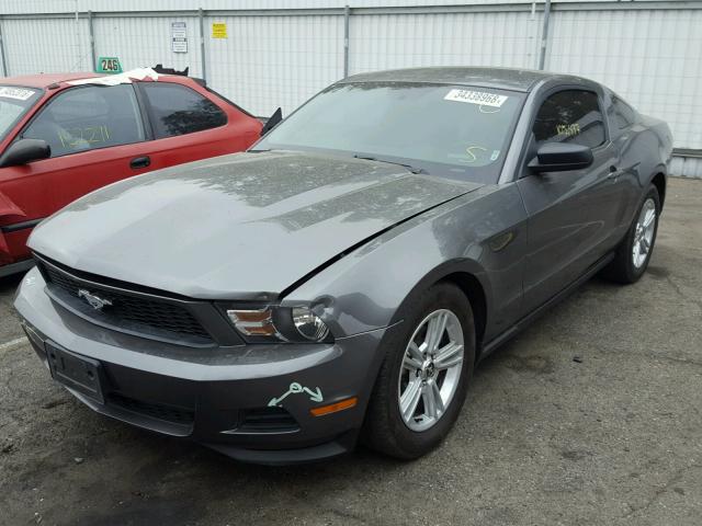 1ZVBP8AM6C5270147 - 2012 FORD MUSTANG GRAY photo 2
