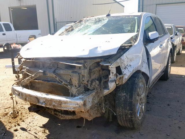 2FMDK3J95DBC84669 - 2013 FORD EDGE SEL WHITE photo 2