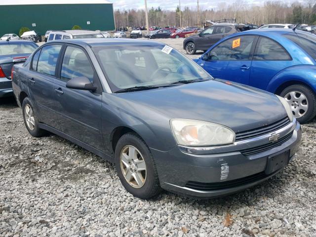 1G1ZT52855F220522 - 2005 CHEVROLET MALIBU LS GRAY photo 1