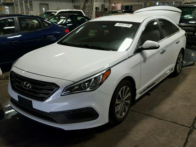 5NPE34AF0FH238093 - 2015 HYUNDAI SONATA SPO WHITE photo 2