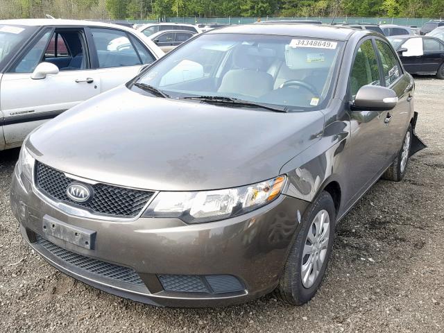 KNAFU4A20A5209200 - 2010 KIA FORTE EX BROWN photo 2