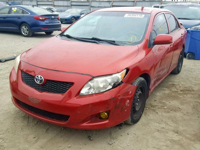 2T1BU4EEXAC359453 - 2010 TOYOTA COROLLA BA RED photo 2