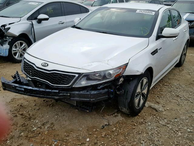 KNAGM4AD2D5040002 - 2013 KIA OPTIMA HYB WHITE photo 2