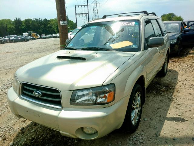 JF1SG69695H735119 - 2005 SUBARU FORESTER 2 GOLD photo 2