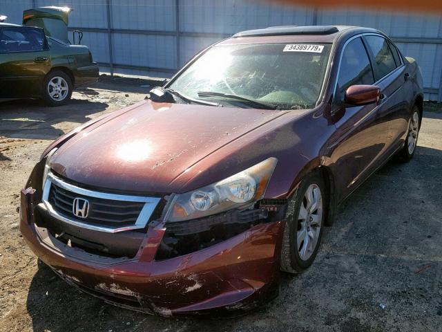 1HGCP2F81AA069357 - 2010 HONDA ACCORD EXL BURGUNDY photo 2