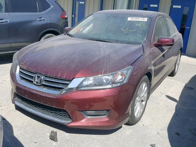 1HGCR2F84EA097492 - 2014 HONDA ACCORD EXL BURGUNDY photo 2