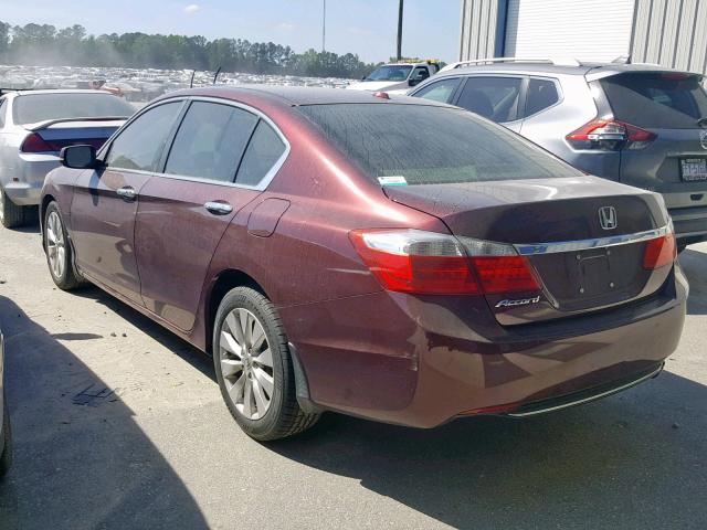 1HGCR2F84EA097492 - 2014 HONDA ACCORD EXL BURGUNDY photo 3