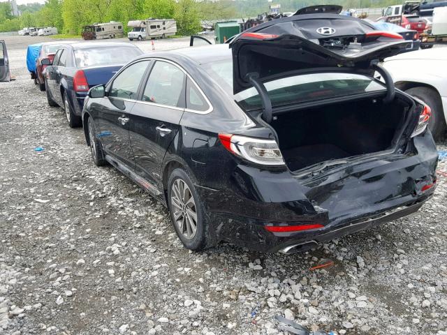 5NPE34AF9GH369296 - 2016 HYUNDAI SONATA SPO BLACK photo 3