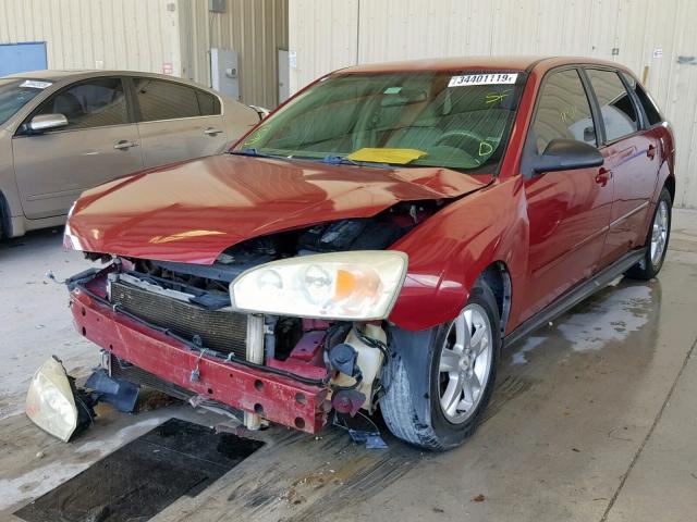 1G1ZT628X5F281239 - 2005 CHEVROLET MALIBU MAX 勃艮第红 照片 2