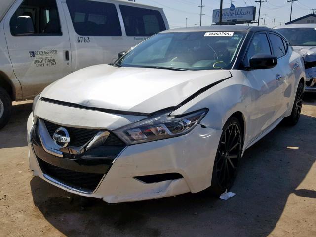 1N4AA6AP2GC405145 - 2016 NISSAN MAXIMA 3.5 WHITE photo 2