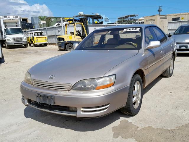 JT8BF12G3T0178303 - 1996 LEXUS ES 300 GOLD photo 2