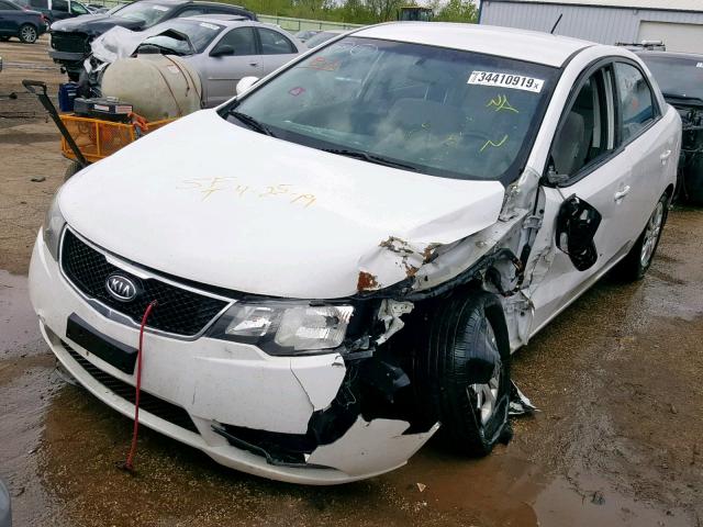 KNAFU4A26A5059965 - 2010 KIA FORTE EX WHITE photo 2