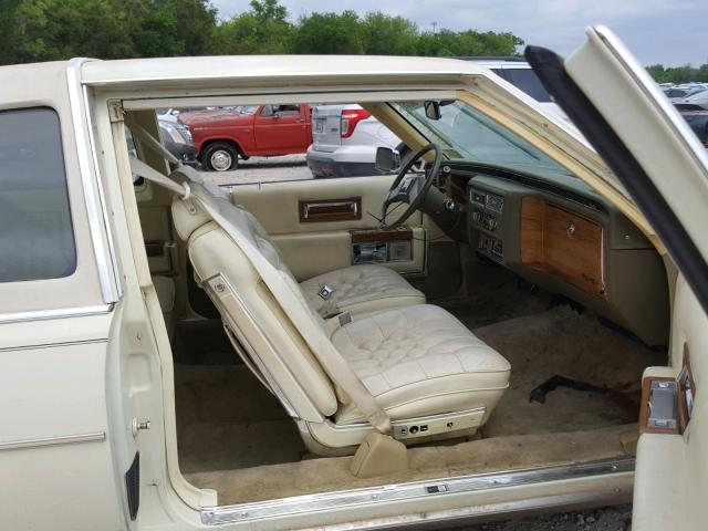 1G6AB479XB9197092 - 1981 CADILLAC FLEETWOOD YELLOW photo 5