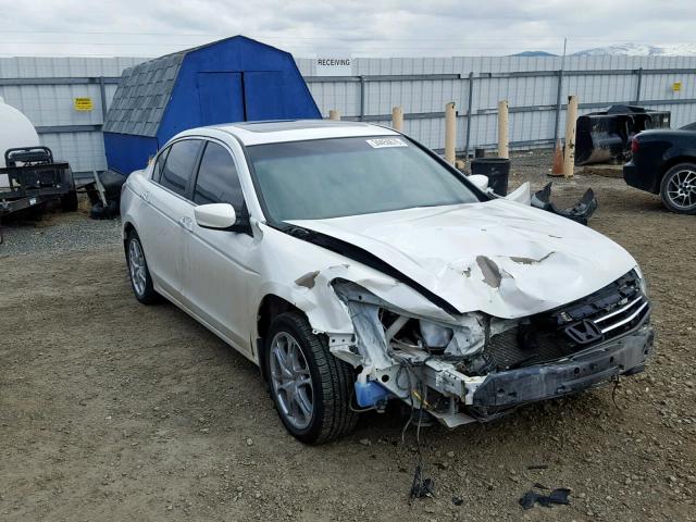 1HGCP3F84BA005899 - 2011 HONDA ACCORD EXL WHITE photo 1