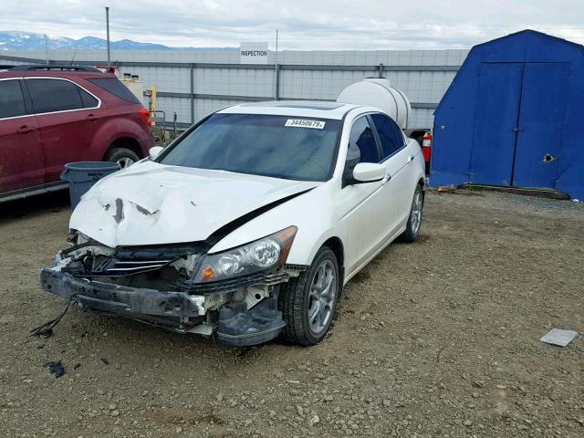 1HGCP3F84BA005899 - 2011 HONDA ACCORD EXL WHITE photo 2