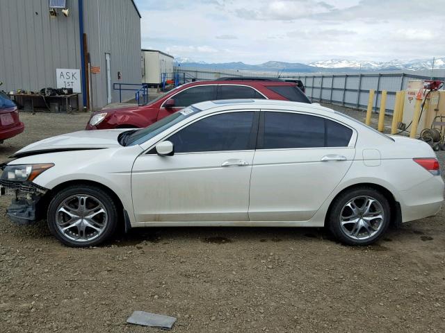 1HGCP3F84BA005899 - 2011 HONDA ACCORD EXL WHITE photo 9