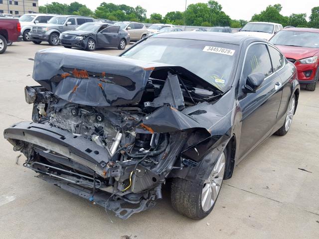 1HGCS2B87AA004047 - 2010 HONDA ACCORD EXL BLACK photo 2