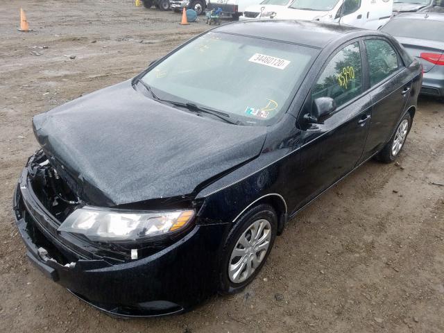 KNAFU4A25C5503470 - 2012 KIA FORTE EX  photo 2