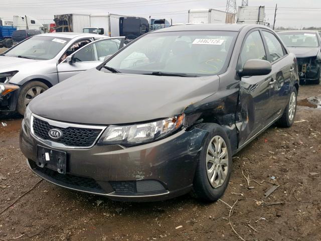 KNAFU4A21B5390096 - 2011 KIA FORTE EX BROWN photo 2