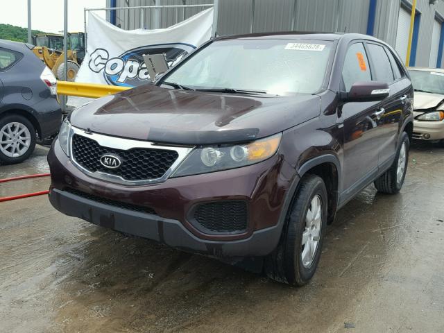 5XYKT4A18CG240653 - 2012 KIA SORENTO BA PURPLE photo 2