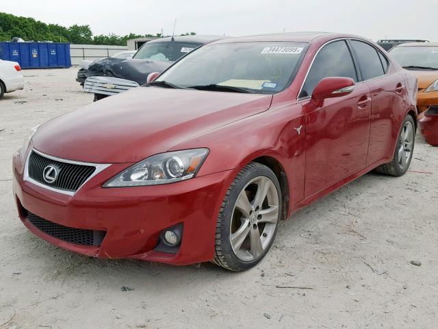 JTHBF5C20B5149417 - 2011 LEXUS IS 250 RED photo 2