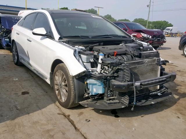 5NPE34AF9FH171901 - 2015 HYUNDAI SONATA SPO WHITE photo 1