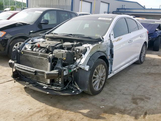 5NPE34AF9FH171901 - 2015 HYUNDAI SONATA SPO WHITE photo 2