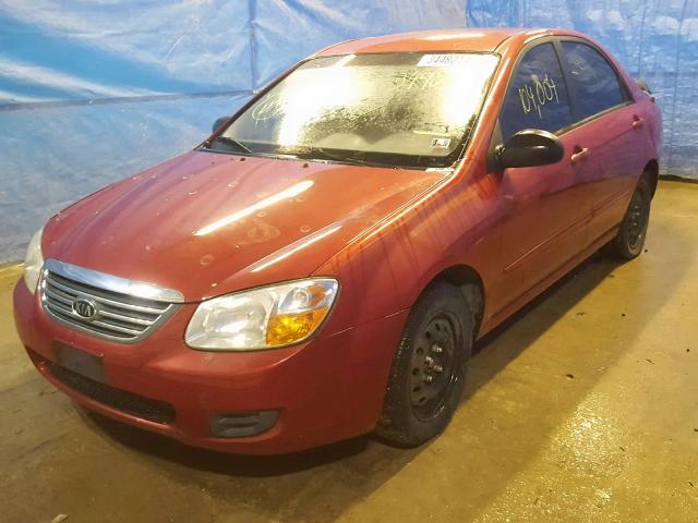 KNAFE121585512209 - 2008 KIA SPECTRA EX MAROON photo 2