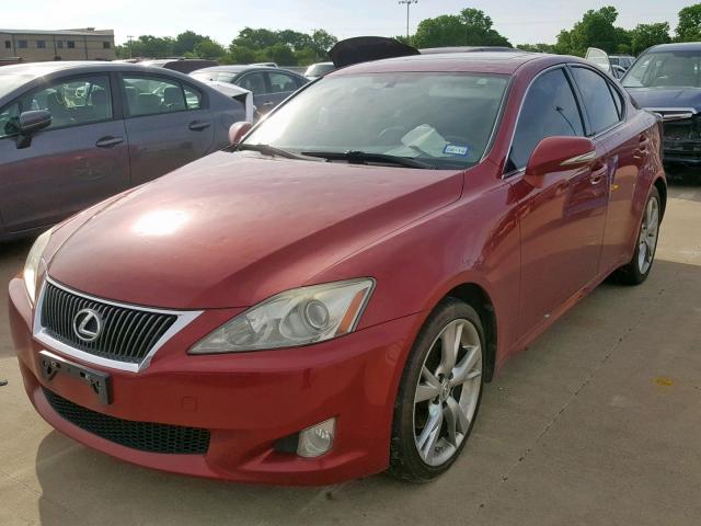 JTHBK262392088145 - 2009 LEXUS IS 250 RED photo 2