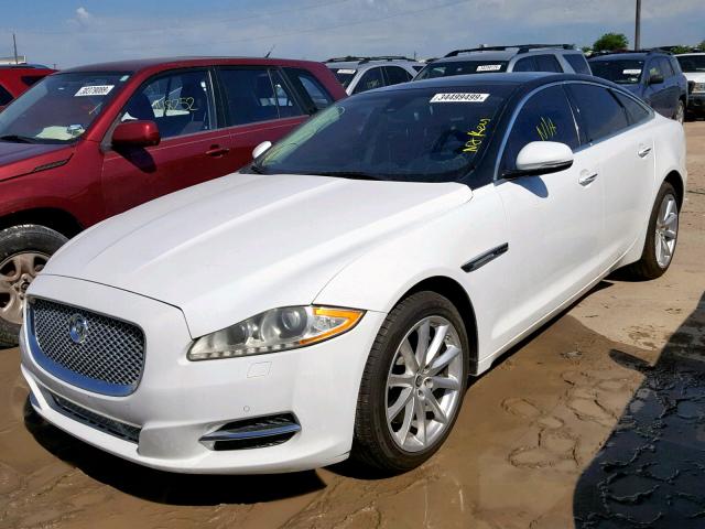 SAJWA1CB7BLV08382 - 2011 JAGUAR XJ BASE WHITE photo 2