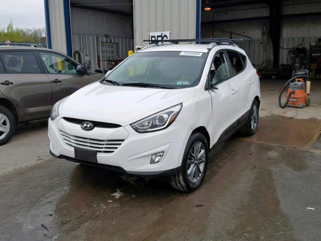 KM8JUCAG9FU096469 - 2015 HYUNDAI TUCSON LIM WHITE photo 2