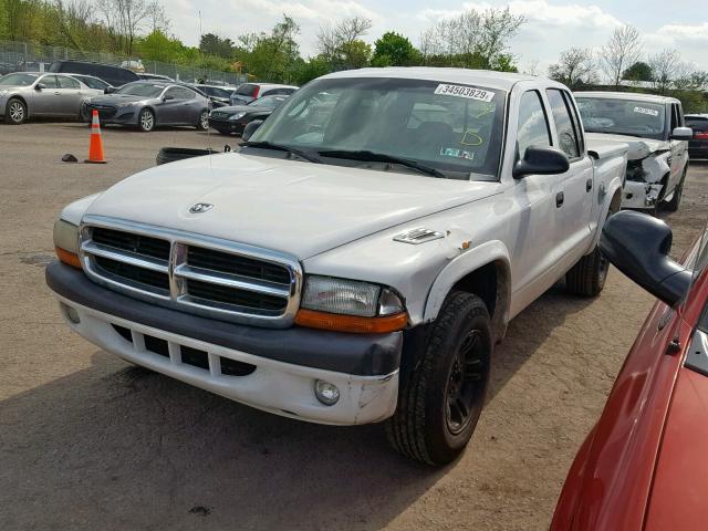 1D7HL38NX4S732065 - 2004 DODGE DAKOTA QUA WHITE photo 2