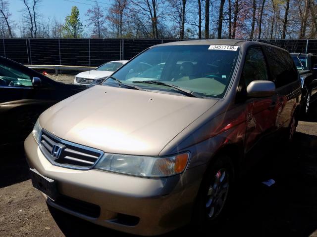 5FNRL18974B024665 - 2004 HONDA ODYSSEY EXL  photo 2