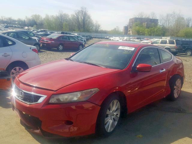 1HGCS22899A011335 - 2009 HONDA ACCORD EXL RED photo 2