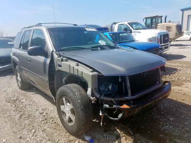 1GNDT13S762208862 - 2006 CHEVROLET TRAILBLAZER LS  photo 1