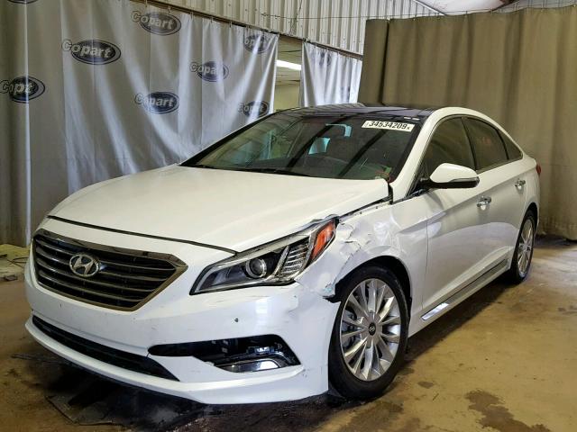 5NPE34AF2FH071302 - 2015 HYUNDAI SONATA SPO WHITE photo 2