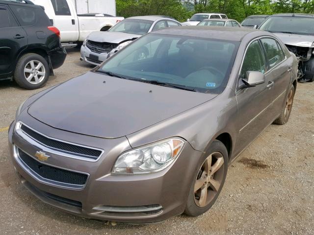 1G1ZC5EUXBF291316 - 2011 CHEVROLET MALIBU 1LT 金色 照片 2