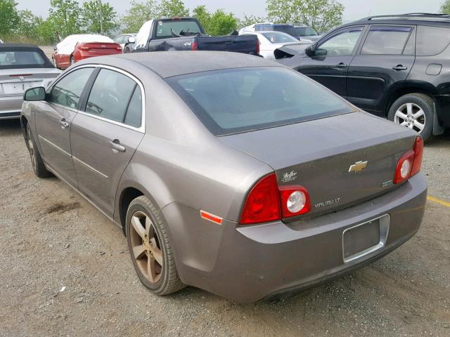 1G1ZC5EUXBF291316 - 2011 CHEVROLET MALIBU 1LT 金色 照片 3