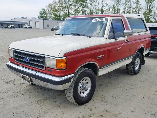 1FMEU15H7MLA04206 - 1991 FORD BRONCO U10 RED photo 2