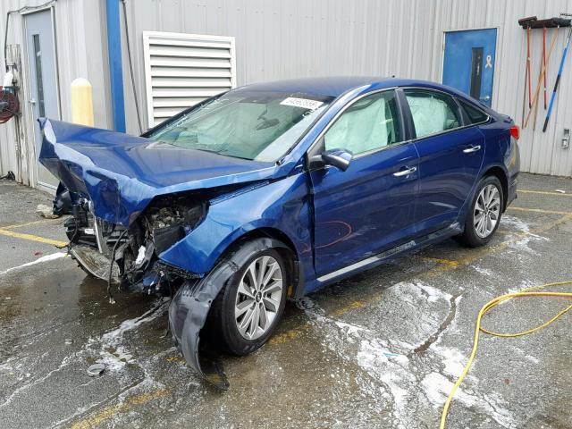 5NPE34AF0FH225747 - 2015 HYUNDAI SONATA SPO BLUE photo 2